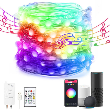 Avatar Controls 32.8ft Smart Christmas Lights Works w/Alexa Google, Color Changing LED Lights with Remote, Music Sync Fairy Lights with 20 Flash Modes, Plug in USB String Lights with Timer