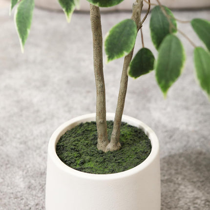 Artificial Ficus Tree, 5FT Fake Silk Ficus Plant with Planter, Indoor Faux Ficus Trees Covered Lifelike Green Moss Floor Plants for Home Office Living Room Decor and Housewarming s