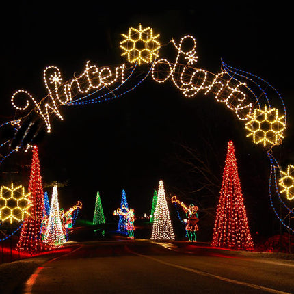 DBFAIRY 24-inch LED Christmas Snowflake Window Lights, Large Outdoor Hanging Silhouette Xmas Decor with 16.8ft Plug-Powered Cable