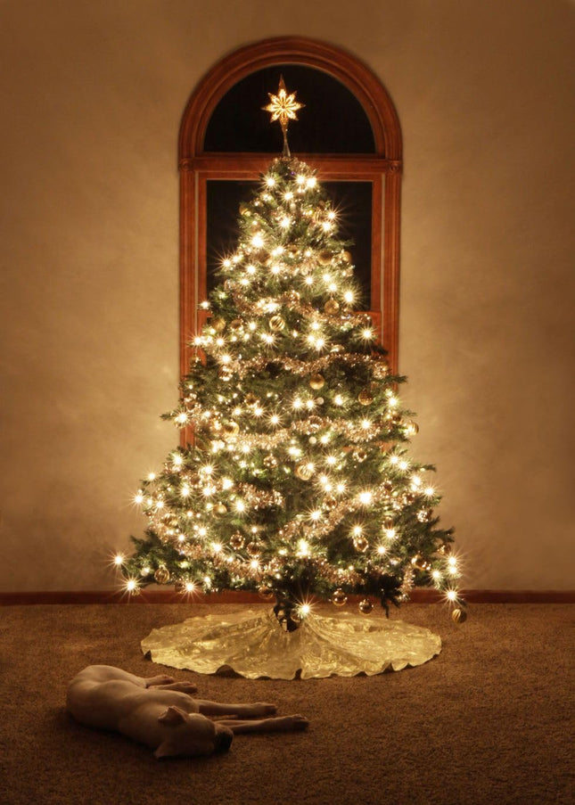 50 LED Slow Twinkle Lights, Soft Twinkling Christmas String Lights, UL 27 Ft, Connect Up to 50 Sets, Indoor & Outdoor Christmas Decorations
