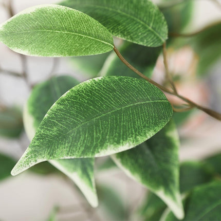 Artificial Ficus Tree, 5FT Fake Silk Ficus Plant with Planter, Indoor Faux Ficus Trees Covered Lifelike Green Moss Floor Plants for Home Office Living Room Decor and Housewarming s