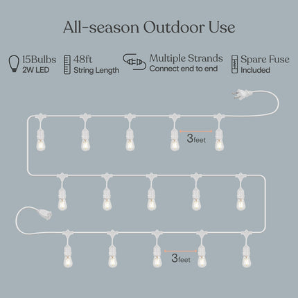 Brightech Ambience Pro Waterproof LED Outdoor String Lights, 48 Ft, Hanging, Dimmable Vintage Edison Bulbs, 15 Bulbs, 2W