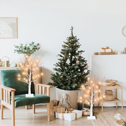 Zcdl White Birch Tree - 2FT 24 LED Birch Tree with Lights, Flexible Branches and Timer, Warm White Lighted White Tree, Tabletop Christmas Tree for Home Christmas Halloween Party Decorations (1 Pack)