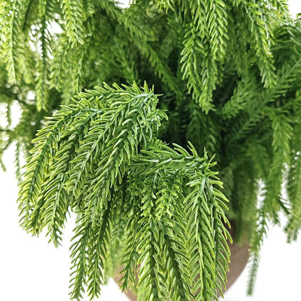 GXXMEI 6PCS 18" Christmas Norfolk Pine Branches, Norfolk Pine Stems DIY Crafts Faux,Faux Cedar Branches for Christmas Indoor Outdoor Home Decor