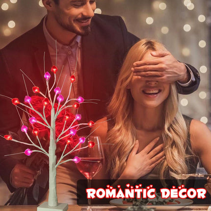 24 Inch Valentine's Day Tree Decorations Tabletop Lighted Birch Tree with 24 Red Pink Heart LED Lights, Battery Operated with Timer Valentines Tree for Home Indoor Party Wedding Decor (2Pack)