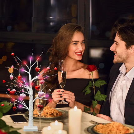 [Red Pink Lights & Timer] Valentines Day 24 Inch Birch Tree Decor with 10 DIY Heart Ornaments 24 Red Pink LED Lights Battery Operated Valentine's Day Decorations for Home Tabletop Party Wedding