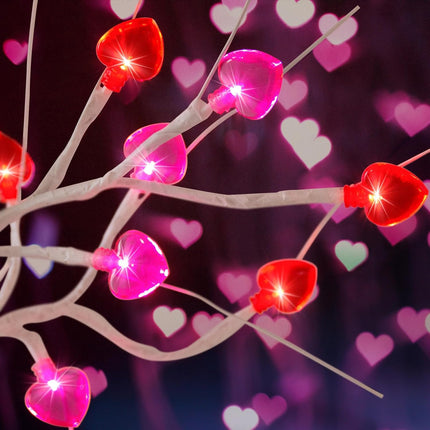 24 Inch Valentine's Day Tree Decorations Tabletop Lighted Birch Tree with 24 Red Pink Heart LED Lights, Battery Operated with Timer Valentines Tree for Home Indoor Party Wedding Decor (2Pack)