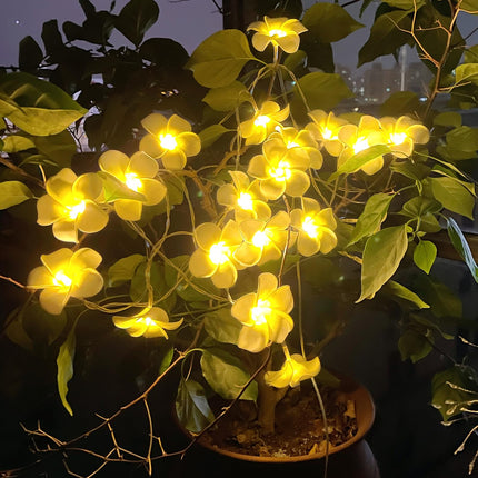 Solar Plumeria Flowers Outdoor Waterproof - 20Ft 20LED Solar Hawaiian Frangipani Flower String Lights, Tropical Flowers Floral Decorative for Garden, Fence, Yard, Patio, Tree Party White