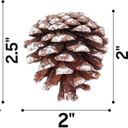 Christmas 30PCS Natural TIMOXMAS Pine Cones 1.5 to 2.5 inch Snow Frosting Pinecones with Hanging String, White Brown Pine Cone Decorations for DIY Crafts Holiday Wreath Garland Party Ornaments