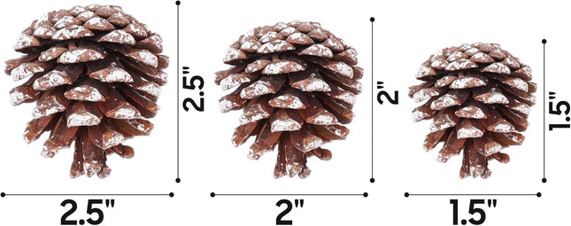 Christmas 30PCS Natural TIMOXMAS Pine Cones 1.5 to 2.5 inch Snow Frosting Pinecones with Hanging String, White Brown Pine Cone Decorations for DIY Crafts Holiday Wreath Garland Party Ornaments