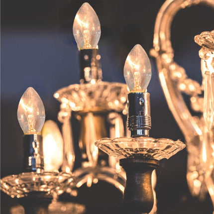 C7 Bulbs C7 Christmas Light Bulbs,25 Pack C7 Replacement Bulbs C7 Night Light Bulbs C7 Light Bulbs C7/E12 5 Watt Candelabra Base for Indoor/Outdoor Holiday Christmas Bulbs Clear