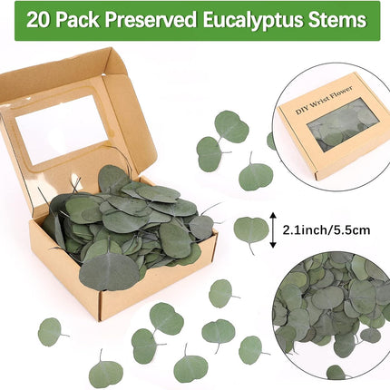 Real Eucalyptus Leaves for Shower: 500PCS Green Dried Eucalyptus Leaves Bulk for Wedding Home Party Bridal Showers Baby Shower DIY Garland Cake Table Center Christmas Decorations