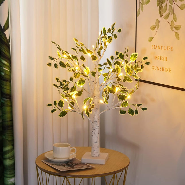Green Leaf Birch Tree with LED Lights, 2 feet 24 LED Warm Light Up Christmas Tree, Timer Battery Operated or USB Plug in Tabletop Tree Lamp for Wedding Home Decoration