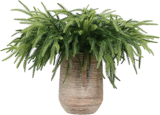 24 Pcs Christmas Norfolk Pine Stems,Real Touch Norfolk Pine Artificial Christmas Branches DIY Crafts Faux Christmas Norfolk Pine Branches for Xmas Indoor Outdoor Home Decor