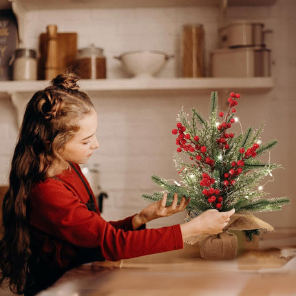 RECUTMS Tabletop Mini Christmas Tree Small Christmas Tree with Lights for Table Faux Miniature Xmas Trees with Red Berries Burlap Base Pine Branches Artificial Trees Indoor Home Decor s