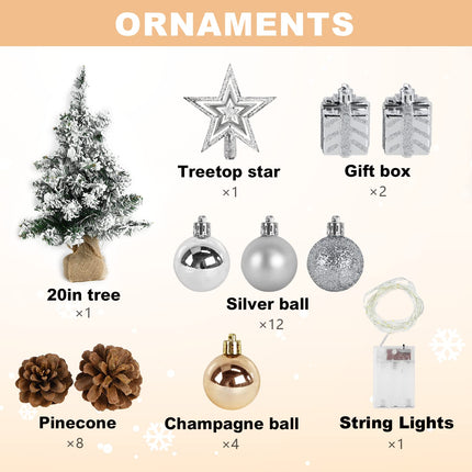 24 Inch 2FT Snowy Mini Christmas Tree, Small Tabletop Flocked Tree with LED Lights, Pine Cones, Balls, Star Tree Topper, Mini Box and Cloth Bag Base, Xmas Decorations (Mini Christmas Tree)