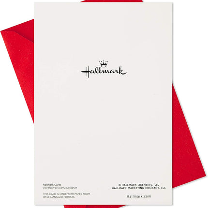 Hallmark Boxed Christmas Cards, Snowy Wreath (40 Cards and Envelopes)