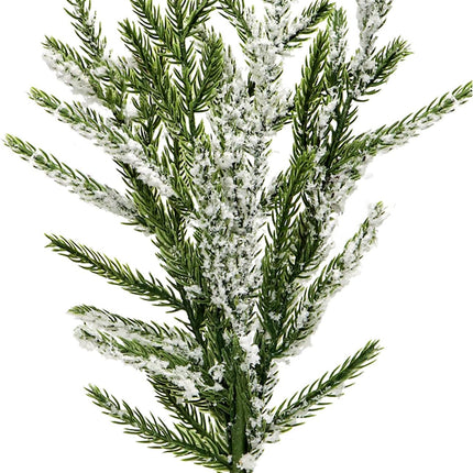 10Pcs Artificial Norfolk Pine Branches 17.7 Inches Fake Norfolk Pine Needles Sprigs Christmas Greenry Stems DIY Crafts Accessories for Garlands Vase Xmas Tree Filler Picks Home Decorations (10, Frost)