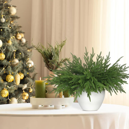 12 Pcs Artificial Norfolk Pine Branches - 18 Inch Faux Christmas Green Plants Greenery Stems Fake Cedar Pine Picks for Vase DIY Crafts Garland Wreath Accessories Xmas Indoor Outdoor Home Decor