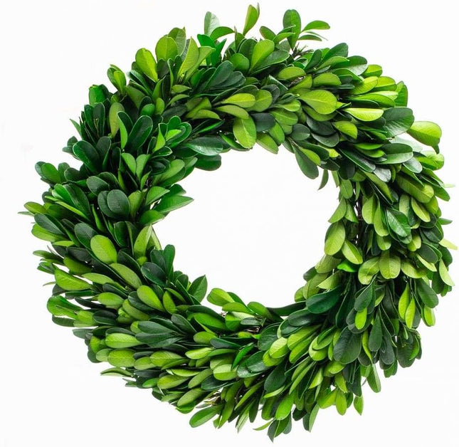 Preserved Boxwood Wreath, Wedding Home Decoration Full Green Real Boxwood Wreath, Indoor Décor for Halloween, Christmas Wreath (Wreath, 10")