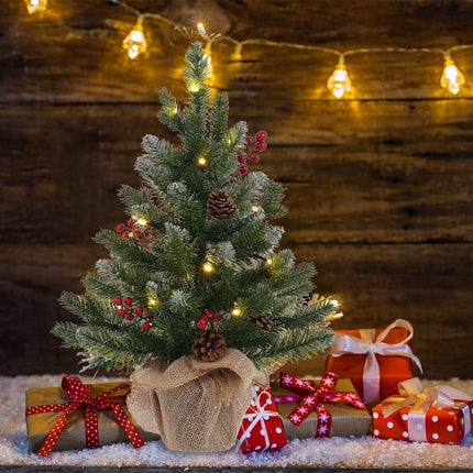 MEETYAMOR 2 FT Mini Christmas Tree, 24" PE Prelit Small Artificial Tabletop Snow Flocked Christmas Trees Decor with 20 Lights Timer, Outdoor Indoor Porch Table Centerpieces Xmas Christmas Decorations