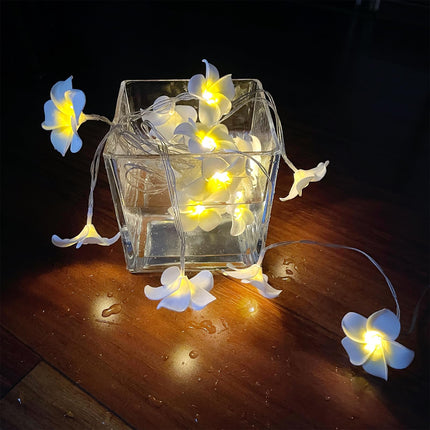 Solar Plumeria Flowers Outdoor Waterproof - 20Ft 20LED Solar Hawaiian Frangipani Flower String Lights, Tropical Flowers Floral Decorative for Garden, Fence, Yard, Patio, Tree Party White