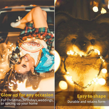 USB Fairy String Lights with Switch and Power Adapter, 66 Feet 200 Led Firefly Lights for Bedroom Wall Ceiling Christmas Tree Wreath Craft Wedding Party Decoration, Warm White