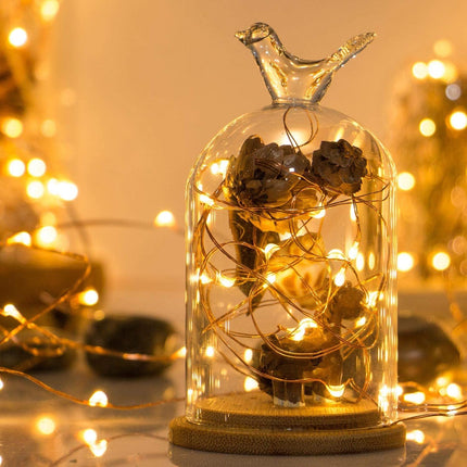 Sanniu Led String Lights, Mini Battery Powered Copper Wire Starry Fairy Lights, Battery Operated Lights for Bedroom, Christmas, Parties, Wedding, Centerpiece, Decoration (5m/16ft Warm White),1 Pack