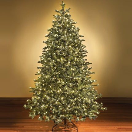 Holiday Essence Clear Christmas Lights Green Wire, 100 Incandescent Mini String Lights Set for Indoor Outdoor Holiday Lighting Decoration, Christmas Tree Lights, Static Flashing UL