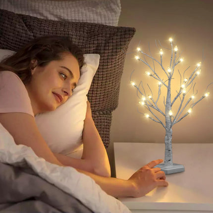 Anycosy Tabletop Birch Christmas Tree, 2Ft 24 LED Warm White Lights Lighted Birch Tree, Battery/USB Operated Artificial Tree Lamp for Indoor Christmas Decorations Mantel Home Decor