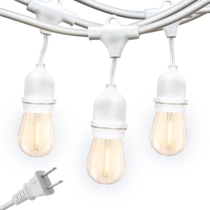 Brightech Ambience Pro Waterproof LED Outdoor String Lights, 48 Ft, Hanging, Dimmable Vintage Edison Bulbs, 15 Bulbs, 2W