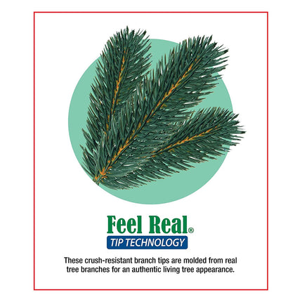 National Tree 24 Inch Feel Real Colonial Wreath with 8 Pine Cones 8 Red Berries and 50 Dual Color Battery Operated LED Lights with Timer and 9 Functions