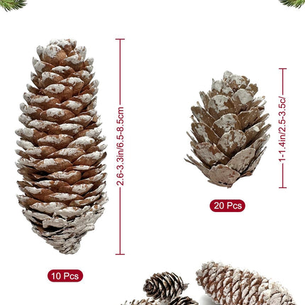 30PCS Christmas Pine Cones Decorations, Natural Snow Pinecones Bulk - 10pcs Large Pine Cones and 20pcs Mini Pine Cones for Xmas, Holiday, Winter Crafts, Table, Wreath,Bowl Decor,,Thansgiving,Party