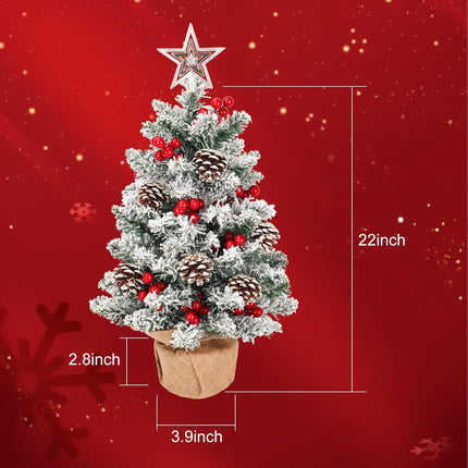 HOXHA Mini Christmas Tree, 22 Inch Small Tabletop Set, Star Tree Topper, Pine Cones Berries and Christmas Ornaments for Christmas Holiday Home Office Table Decorations, White