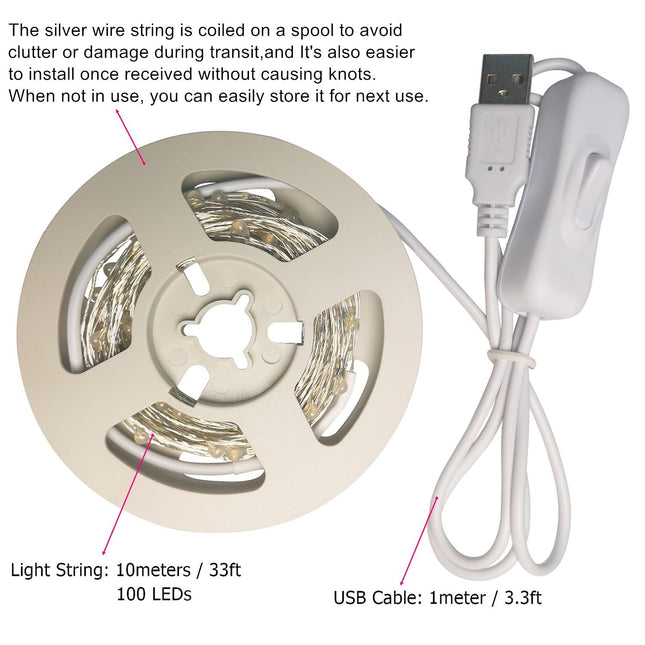 RUICHEN Silver Wire 33 Ft 100 LED USB Fairy String Lights with On/Off Switch (Green)