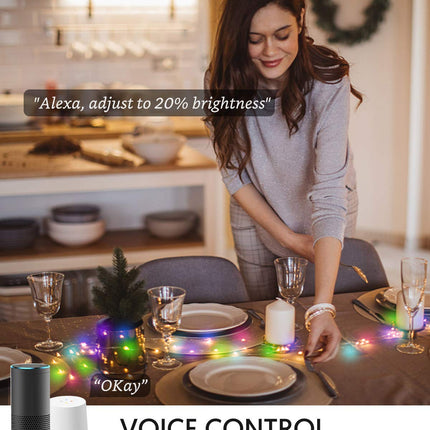 Avatar Controls 32.8ft Smart Christmas Lights Works w/Alexa Google, Color Changing LED Lights with Remote, Music Sync Fairy Lights with 20 Flash Modes, Plug in USB String Lights with Timer
