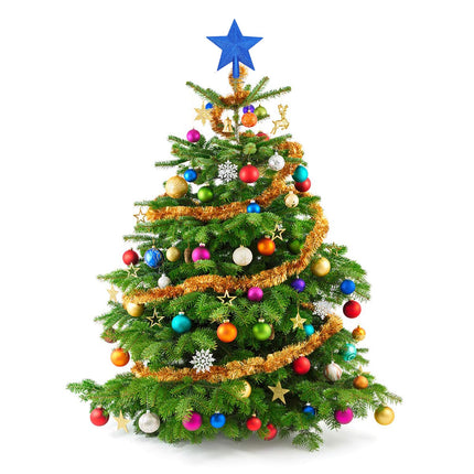 2 Pack Glittered Small Christmas Tree Topper Xmas Mini Star Treetop for Small Christmas Tree Decorations, Blue and Pink