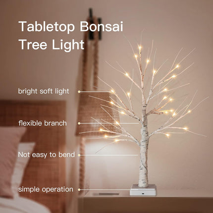 Woohaha 2FT Lighted Birch Tree with 24L Warm White LEDs,Mothers Day Decoration,Battery Powered Timer Money Tree,Artificial Mini Christmas Tree Card Tree for Home Party Wedding