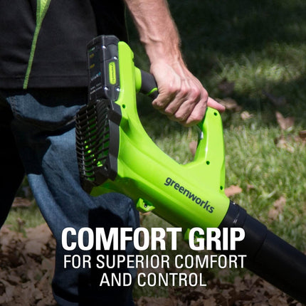 Greenworks 24V 12-Inch Cordless String Trimmer, 2.0 AH Battery Included, ST24B210