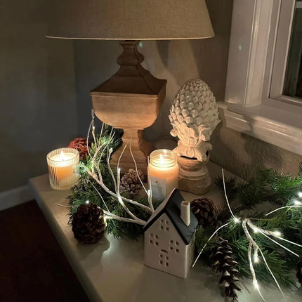 Hypestar Lighted Garland with Birch Branches 6FT 48 Warm Lights, Lighted Birch Garland with Timer,Pre Lit Birch Garlands for Bedroom Wall Chrismtas Indoor Decorations (Battery Operated-707)