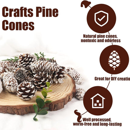 DomeStar 40PCS Snow Pine Cones for Crafts, Natural Pine Cones Christmas Pine Cone Ornaments for Xmas Tree Wreath Winter Holiday Hanging Ornaments