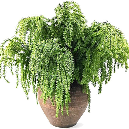 GXXMEI 6PCS 18" Christmas Norfolk Pine Branches, Norfolk Pine Stems DIY Crafts Faux,Faux Cedar Branches for Christmas Indoor Outdoor Home Decor