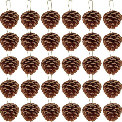 Winlyn 30 Pcs Christmas Hanging Real Preserved Pine Cones Ornaments 2"-3" Tall Christmas Tree Hanging Pinecone Ornaments