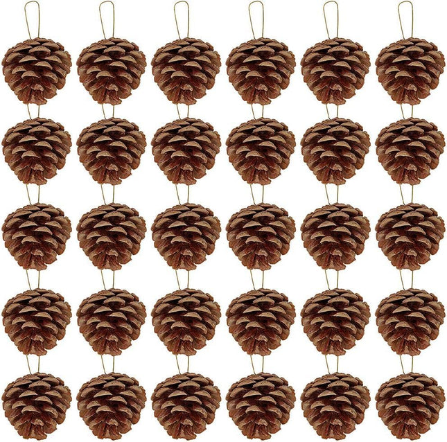 Winlyn 30 Pcs Christmas Hanging Real Preserved Pine Cones Ornaments 2"-3" Tall Christmas Tree Hanging Pinecone Ornaments