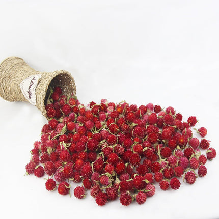 220 Pcs Dried Flower Heads for Crafts Red Globe Amaranth Dried Flowers Heads Bulk Natural Dried Gomphrena Globosa Flower Dry Flower Arrangements for Wedding Decor Home Party Headband DIY