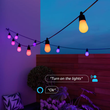 Lepro ZB1 AI Smart Outdoor String Lights APP Control, 54(42+12) ft RGB+IC+Warm White Outdoor Lights 15 LED Bulbs, Alexa Google Enabled, AI Generated Lighting LLM, NO Remote, 2.4 GHz WiFi+Bluetooth