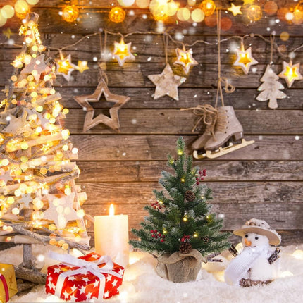 MEETYAMOR 2 FT Mini Christmas Tree, 24" PE Prelit Small Artificial Tabletop Snow Flocked Christmas Trees Decor with 20 Lights Timer, Outdoor Indoor Porch Table Centerpieces Xmas Christmas Decorations