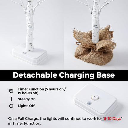 Lighted Birch Tree, 2pcs 24in Christmas Tabletop Tree, USB Rechargeable Base with Timer Function, Pre-Lit Artificial Mini Money Birch Tree for Home Centerpiece Fireplace Party Decor
