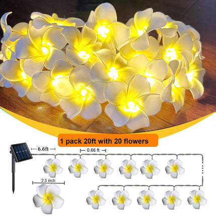 Solar Plumeria Flowers Outdoor Waterproof - 20Ft 20LED Solar Hawaiian Frangipani Flower String Lights, Tropical Flowers Floral Decorative for Garden, Fence, Yard, Patio, Tree Party White