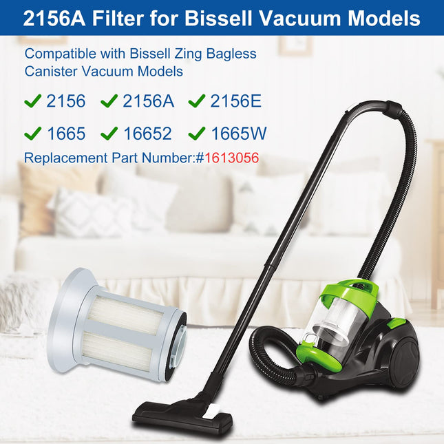 Filter Compatible With Bissell 2156, 2156A, 1665, 16652, 1665W Zing Canister Vacuum Cleaner, Replace Part 1613056, 2Pcs 2156A Filter + 4 Post Motor
